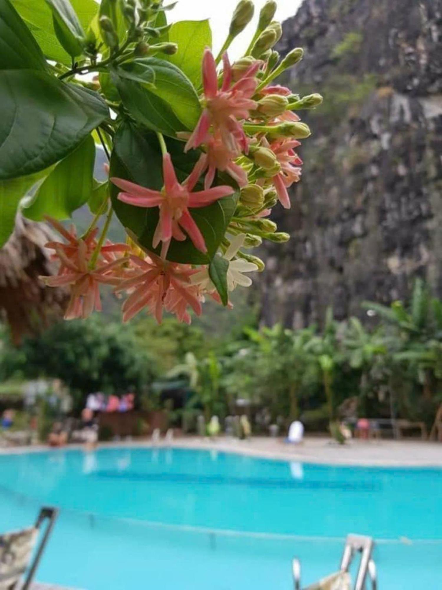 Hoalu Backpacker Homestay Ninh Binh Luaran gambar