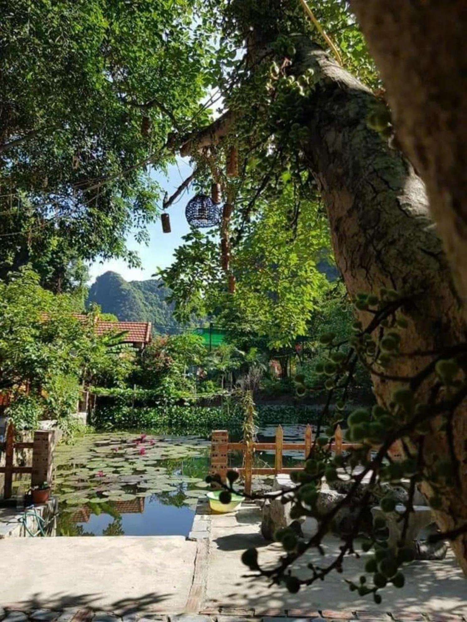 Hoalu Backpacker Homestay Ninh Binh Luaran gambar