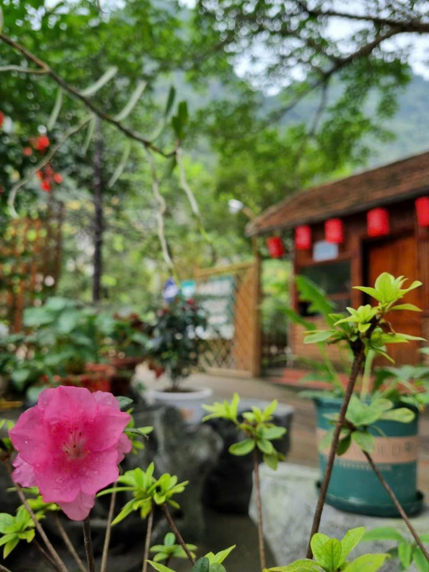 Hoalu Backpacker Homestay Ninh Binh Luaran gambar